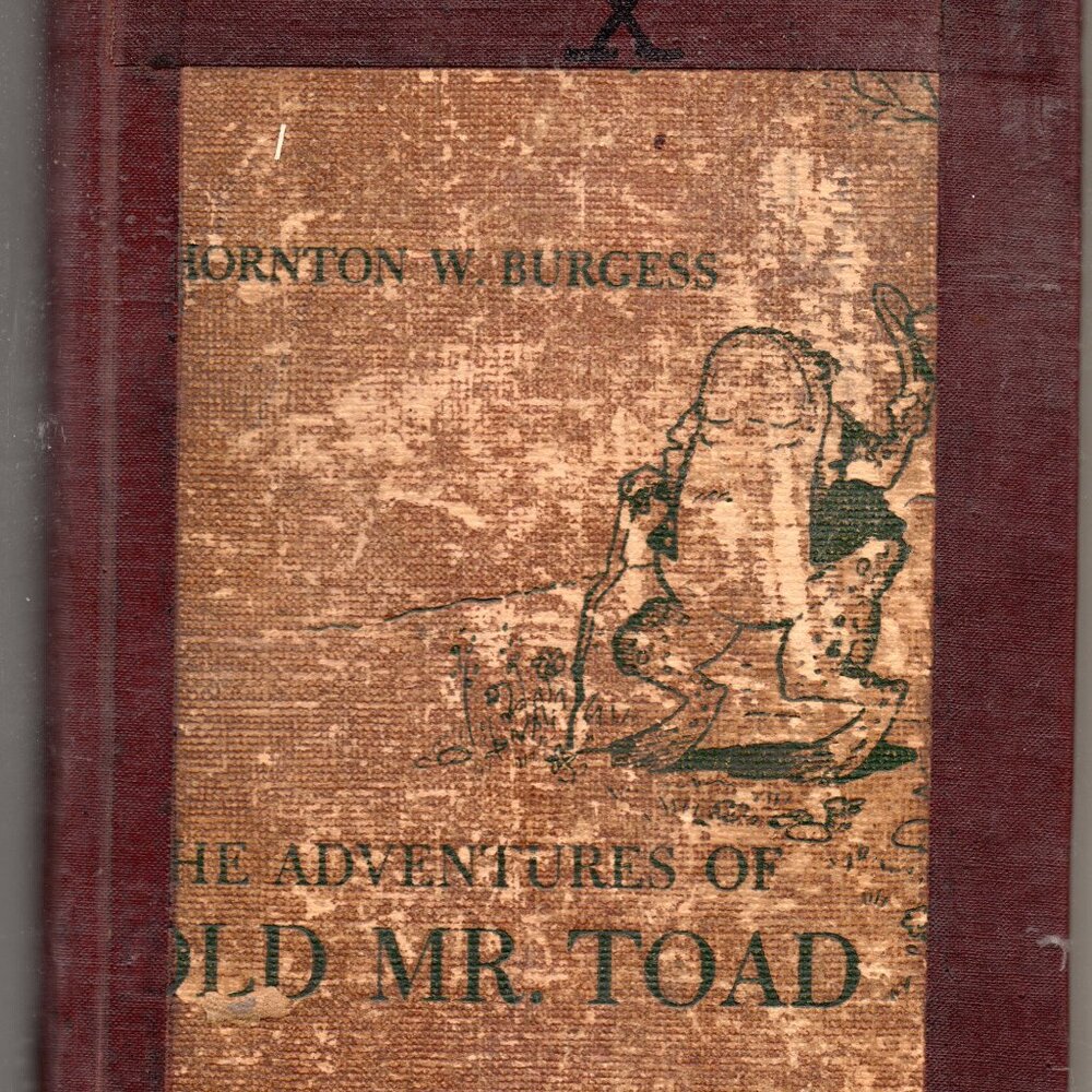 The Adventures of Old Mr. Toad